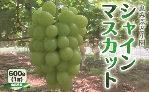 【先行予約・8月下旬より発送】山武市産　シャインマスカット  SMAP001