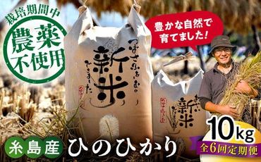 【全6回定期便】 糸島産 雷山のふもとの米 農薬不使用 10kg 糸島市 / ツバサファーム[ANI007] 