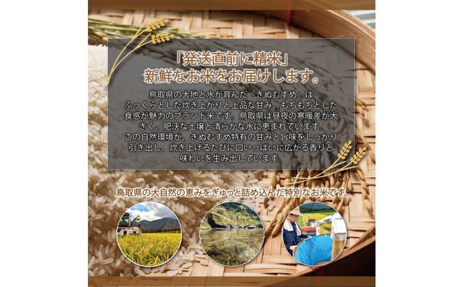 1104.令和7年産　きぬむすめ精米 5kg 313726_CI001