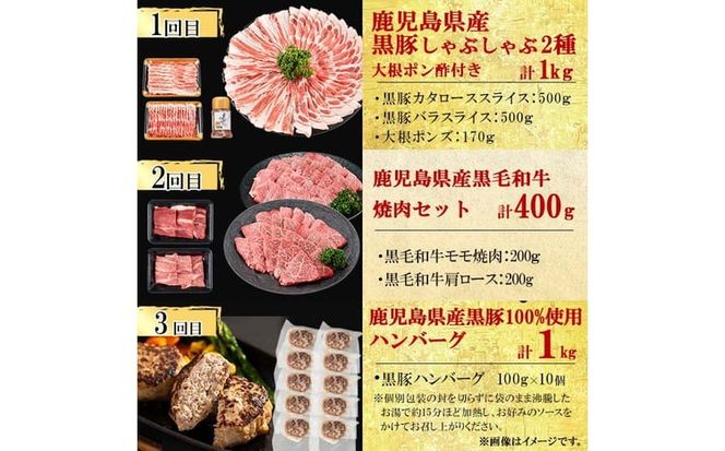 【定期便・全12回】ナンチクのお肉を楽しむ定期便！ナンチク厳選コース！ 総量8.5kg超! t0165-002