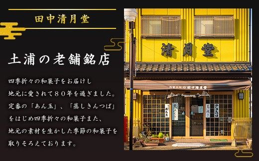 【四季彩の和菓子・和スウィーツ】和菓子職人が一家相伝の伝統技法で創る和菓子プレミアムセット ｜ 手作り 土浦の老舗銘店 田中清月堂 ※離島への配送不可