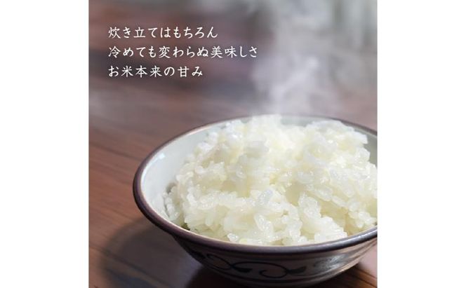 令和7年産 魚沼産コシヒカリ【精米】5kg