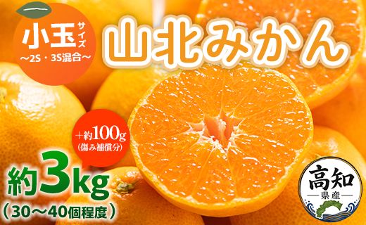 みかん 山北みかん 小玉サイズ(2S,3Sサイズ) 3kg 約30～40個入り 甘い - 果物 フルーツ 柑橘類 温州みかん ミカン 蜜柑 甘い 山北みらい 高知県 香南市 yk-0077