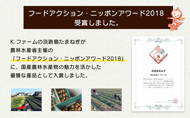 【新玉ねぎ】淡路島たまねぎ 大きな2Lサイズ10kg【発送時期：2026年3月下旬～5月頃】　玉ねぎ 産地直送