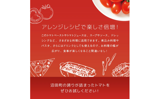 【定期便】契約農家が露地栽培した完熟トマトケチャップ【320g瓶×4本×3ヶ月】（隔月）保存料 無添加 国産 北海道産 n-0224