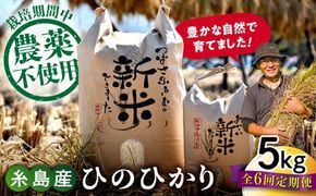 【全6回定期便】 糸島産 雷山のふもとの米 農薬不使用 5kg 糸島市 / ツバサファーム[ANI004]