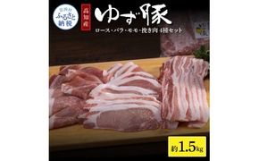 【CF-R7hbk】NIN007　なはりゆず豚セット 1.5kg - 豚バラ ロース モモ 挽き肉 ひき肉 豚 豚肉 国産 詰め合わせ セット 冷凍 料理 おうちごはん 個包装 16000円 高知県産 高知