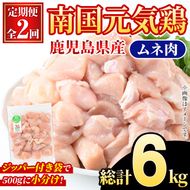 ＜定期便・全2回(隔月)＞鹿児島県産！南国元気鶏 ムネ肉(総計6kg) 国産 鹿児島県産 鶏肉 肉 お肉 ムネ肉 むね肉 胸肉 南国元気鶏 小分け 小パック 定期便 Cセット【さるがく水産】akn028-36