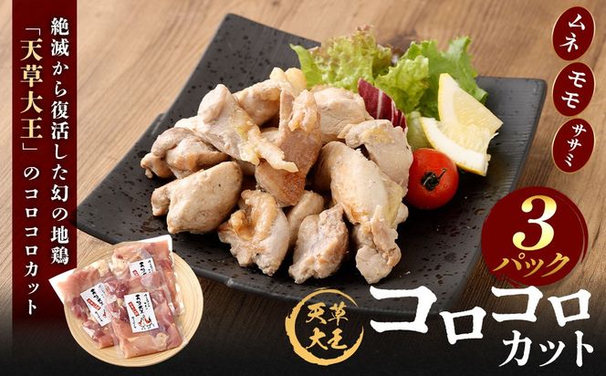yF{VszV剤 RRJbg 3Zbg 200g×3pbN v600g {   n{  Jbg Y BY F{Y Ⓚ