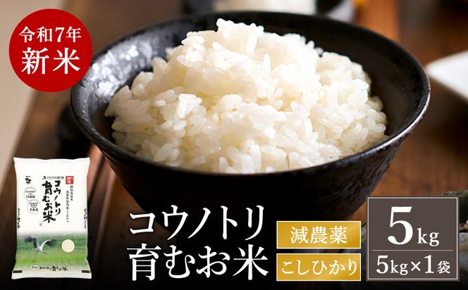 yɌLszߘa7NY@V _  ʍ͔| 5kg REmgނ AnY Ђ ɌY (5kg×1)i94-004j_  5L   REmg RVqJ V R   CX _