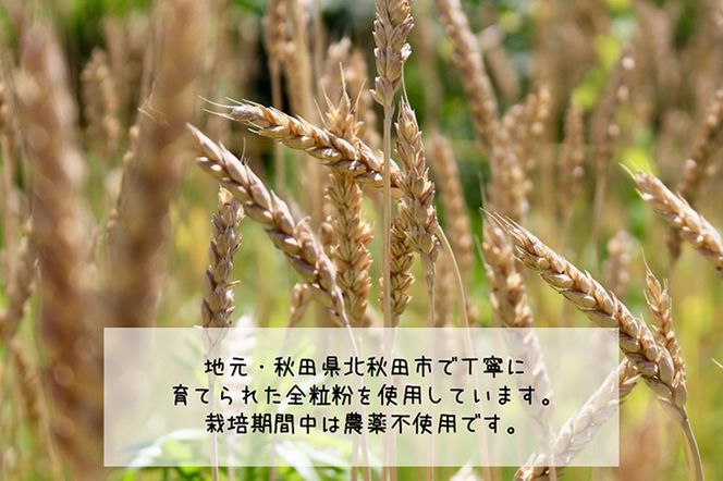 パイスコーン 国産小麦 全粒粉 8個 セット ＜ゆうパケット＞ ベーカリーあらっせ|bear-030801