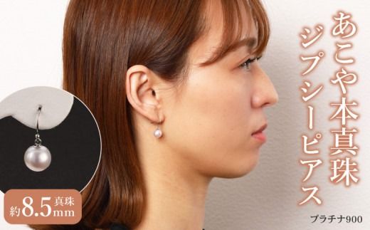 y{茧sz{^Ԃ牺WvV[sAX^8.5mmv`i900 N0119-YZG0137