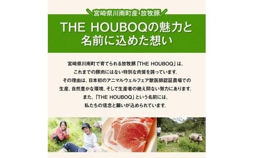 【12ヶ月定期便】宮崎県川南町産豚肉　放牧豚定期便B（放牧黒豚入り） 【 豚 肉 豚肉 黒豚 国産 九州産 宮崎県産 川南町 加工品 セット 送料無料 】[C08107t12]
