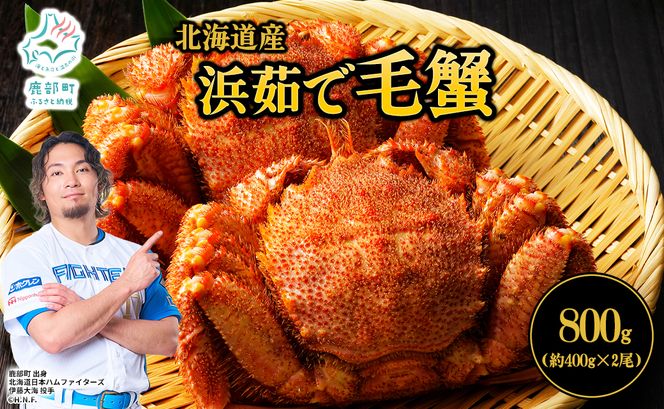 【北海道産】 ボイル毛蟹 約800g（400g前後×2尾）蟹 カニ 冷凍 