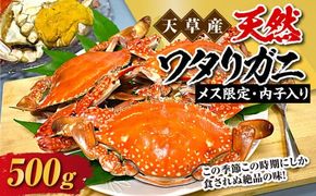 天草産 天然ワタリガニ メス限定内子入り 500g 2杯 渡り蟹 ワタリガニ カニ 蟹 天草名物 甲殻類 魚介 渡蟹 グルメ 冷凍 内子 内子入り