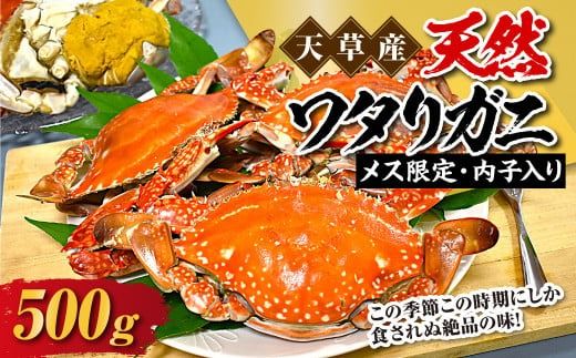 天草産 天然ワタリガニ メス限定内子入り 500g 2杯 渡り蟹 ワタリガニ カニ 蟹 天草名物 甲殻類 魚介 渡蟹 グルメ 冷凍 内子 内子入り