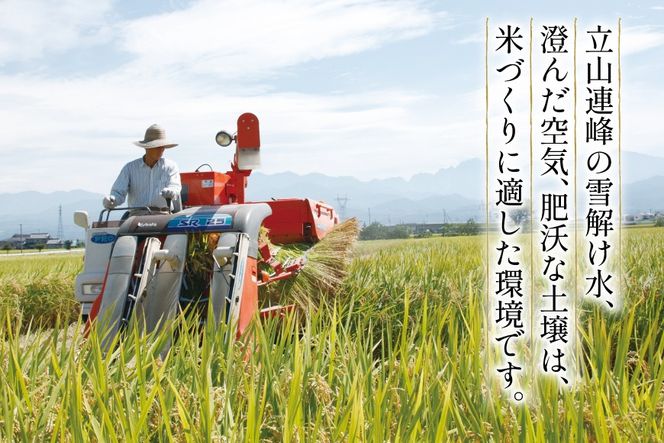 【3ヶ月定期便】【一等米100％】米 令和7年産 ばんどり米（コシヒカリ）精米 5kg 計15kg [農事組合法人東和 富山県 舟橋村 57050214] お米 白米 美味しい こしひかり 富山 農家 令和7年産