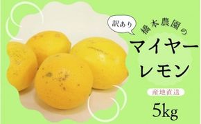 【先行予約】橋本農園の 訳あり マイヤーレモン 5kg【2026年12月中旬から2027年1月中旬までに順次発送】 / レモン マイヤーレモン 檸檬 先行予約 家庭用 ご家庭用【mht015】