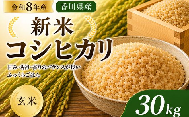 令和8年産新米　香川県産コシヒカリ30kg(玄米) お米 ライス ご飯 ブランド米 銘柄米 お弁当 おにぎり 食卓 産地直送 主食 炭水化物 和食 国産 日本産 エコファーマー認定農家 