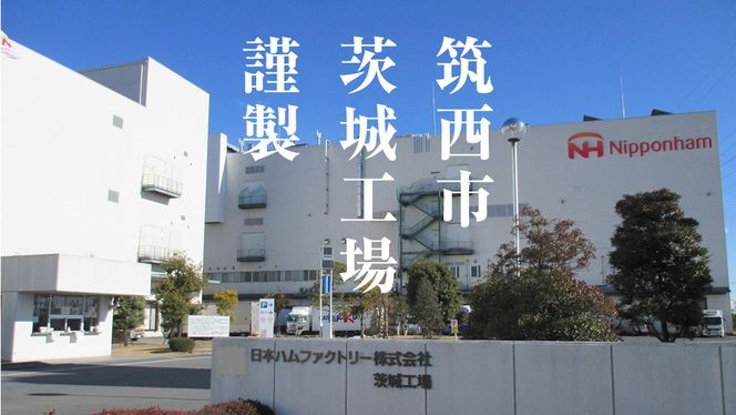 日本ハム 筑西工場 本格派 ギフトセットC 肉 にく 贈答 ギフト 詰め合わせ ハム ソーセージ ウィンナー 生ハム 焼豚 [AA083ci]