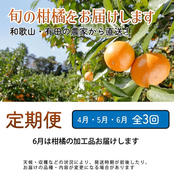 【定期便】厳選 柑橘定期便 S 3回（4～6月）※北海道・沖縄・離島への配送不可※4月・5月・6月に発送