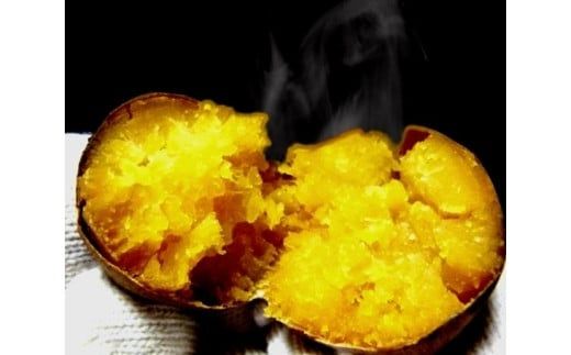 2025年度産 濃厚な甘みさつまいも 紅はるか10kg【茨城県共通返礼品/行方市】【さつまいも サツマイモ 芋 お芋 甘い ねっとり 美味しい 大量 茨城県 北茨城市 】(AK202)