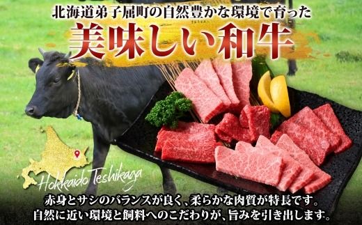 2935. 黒毛和牛 塩 ローストビーフ 300g 2パック 計600g A4 A5 等級 北海道産和牛 弟子屈牛 モモ モモ肉 肉 牛 牛肉 和牛 お肉 肉加工品 加工肉 ディナー おつまみ お取り寄せ 冷凍 国産 北海道産和牛 弟子屈牛 お祝い 贈り物 gift ギフト プレゼント 送料無料 北海道 弟子屈町