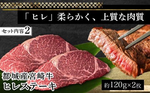 宮崎牛ヒレ・サーロインステーキ640g_AD-2504_(都城市) 食べ比べ 牛肉 ブランド牛 ヒレステーキ 120g×2枚 サーロインステーキ 200g×2枚 ソース 塩コショウ 真空パック 希少部位
