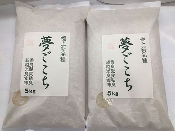 【7年産】近江米夢ごこち【5kg×2袋】【T035W3】