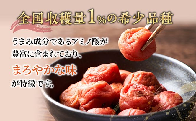 梅干し 合計800g 甘くない梅干し 2つ セット 紅さし梅 紅映梅 梅 うめ ウメ 福井県 福井 