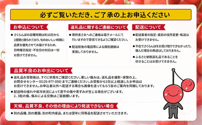 2027年発送 北海道 仁木町産 さくらんぼ 500g 佐藤錦または紅秀峰 果樹 サクランボ チェリー フルーツ 果物 果物類 ギフト 仁木町 仁木 [くくり農園]