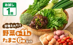 【一週間以内に発送】宗像とれたて　野菜・たまごセット【オアシス】_HA0778