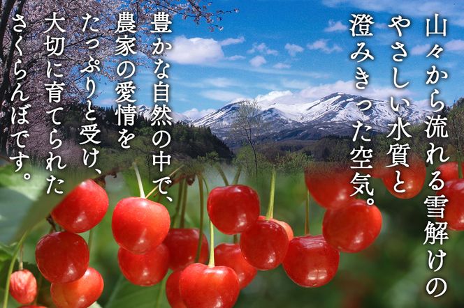FYN6-253 ≪2026年先行予約≫山形県産 さくらんぼ 品種おまかせ(佐藤錦・紅秀峰など) 800g(400g×2) 秀/L以上 バラパック詰め 2026年6月中旬頃より発送 果物 くだもの フルーツ 夏果実 サクランボ チェリー 桜桃 高級 化粧箱 ギフト箱 贈り物 贈答 ギフト プレゼント 自宅 家庭 産地直送 山形県 西川町 月山