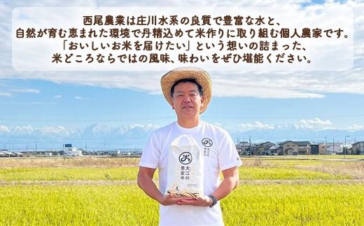 大江の黄金米 コシヒカリ10kg（5kg×2） ｜ 射水市 西尾農業 黄金米 射水の美味しいお米 精米 ※離島への配送不可