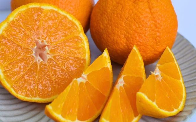 みかん 不知火 たにぐち農園の完熟不知火 ご家庭用 ちょこっと訳あり 5kg【2026年2月中旬から3月下旬までに順次発送】 / くだもの フルーツ 果物 わけあり 訳あり 家庭用 ご家庭用 不知火 みかん 蜜柑 デコポン 人気【mtn010B】