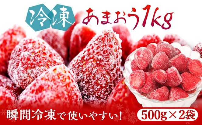 福岡県産【博多冷凍あまおう】約500g×2袋 合計約1kg《築上町》【株式会社H&Futures】[ABDG005]