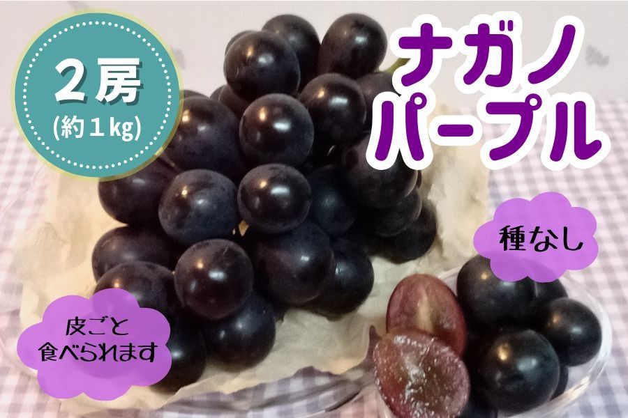 ナガノパープル2房(約1kg) ぶどう ナガノパープル フルーツ 大粒、種なし、皮ごと食べられる黒ぶどう ナガノパープル