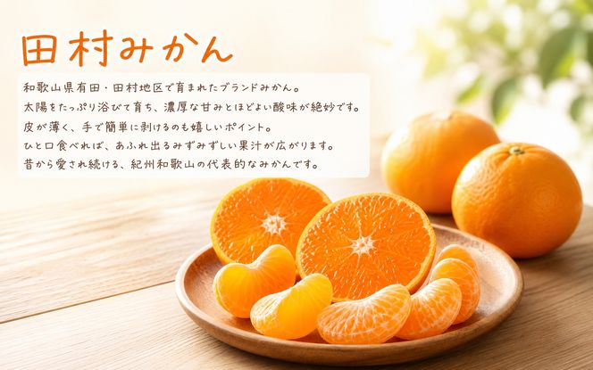 【全3回定期便】秋の味覚 果物定期便　柿・みかん　旬のフルーツを毎月お届け♪【tkb130】