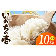 R7年産　「いのちの壱」（10kg）＜農家直送＞ ［208K10］ 希少米 10kg 米 精米 白米 ご飯 国産 産地直送 甘い 粘り強い もちもち お取り寄せ こだわり米 愛知県 小牧市 送料無料