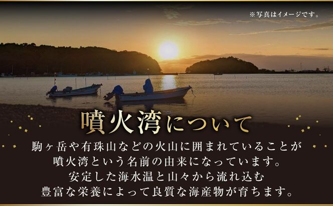 【訳あり】いくら 醤油漬け 新鮮 鮭卵使用 手作り 180g×2瓶 北海道 豊浦 噴火湾 優しい醤油とみりんの味 