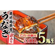 【0274358a】＜訳あり＞東串良町のうなぎ蒲焼(無頭)(5尾以上・計約1kg・タレ、山椒付) うなぎ 高級 ウナギ 鰻 国産 蒲焼 蒲焼き たれ 鹿児島 ふるさと 人気【アクアおおすみ】