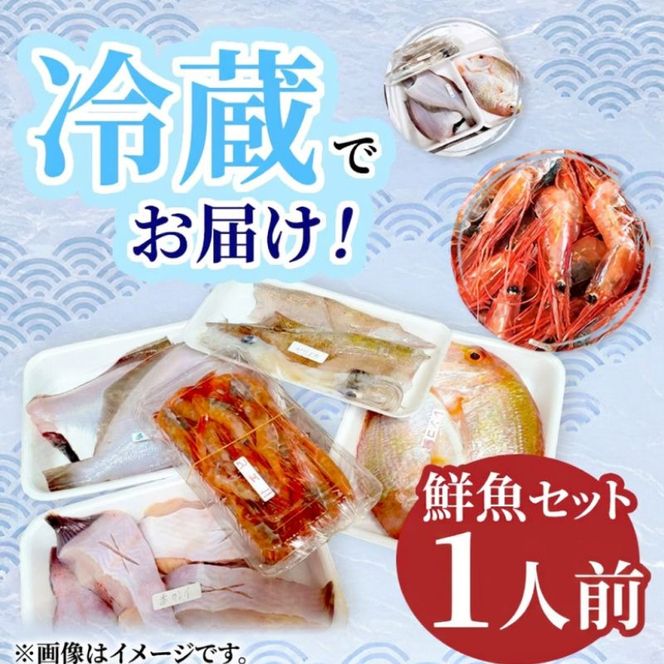 鮮魚 冷蔵 クール便「開けたらすぐ食べられる」下処理済み 海産物 1人前 さとう鮮魚店【一人暮らし 女性 男性 パック 詰め合わせ 海鮮セット 鮮魚ボックス 海鮮 海の幸 魚介 魚介類 切り身 秋田県 にかほ 】