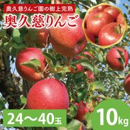 先行予約 奥久慈 りんご 10kg 24～40玉 樹上完熟 茨城県 大子町 フルーツ 果物 国産 詰め合わせ ふじ 秋映 陽光 シナノゴールド シナノスイート 秋 旬 お取り寄せ 数量限定 【2026年9月中旬頃順次発送開始予定】(AI004-1)