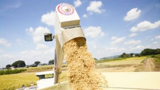 精米 百笑米 「 天の恵 」 有機栽培 ミルキークイーン 5kg R7年産 米 コメ 茨城県 単一米 [AC013ci]