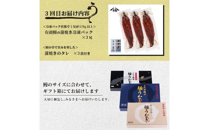 【定期便全3回】うなぎお楽しみ便！ t0047-004
