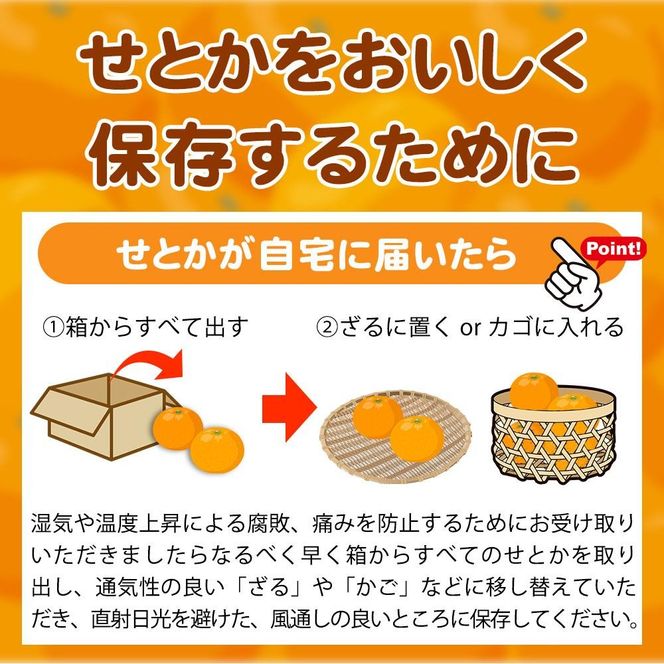 紀州有田産せとか約5kg 【ご家庭用】とろける食感！ジューシー柑橘【2025年2月下旬以降発送】 AN048