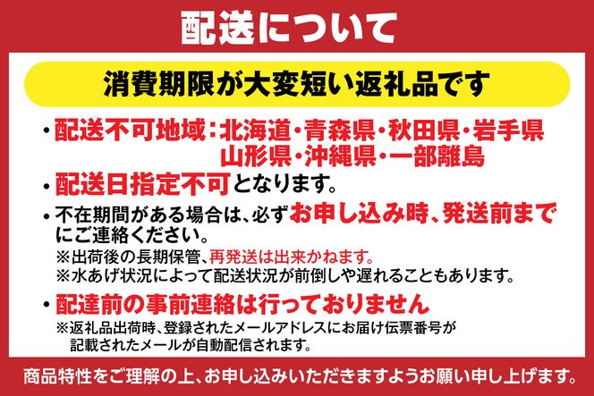 【訳あり 香住ガニ 釜茹で ボイル 大きめ 約600g×3匹（約1.8kg以上）冷蔵】大人気 人気 おすすめ 国産 本場 香住 兵庫 香美 訳あり 紅 紅ズワイガニ 茹でベニズワイガニ かに カニ 蟹 20000円 日本海フーズ 07-14 ☆