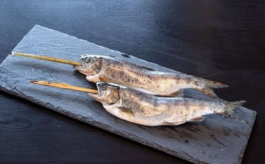 【幻の珍味】「黄金いくら」（ヤマメの卵醤油漬け）（１本）と串ヤマメ（２本入り×２パック）の親子セット　 いくら イクラ 魚卵 小分け 数量限定 旬 人気 贈答 美味しい ヤマメ 鱒 冷凍 お取り寄せ