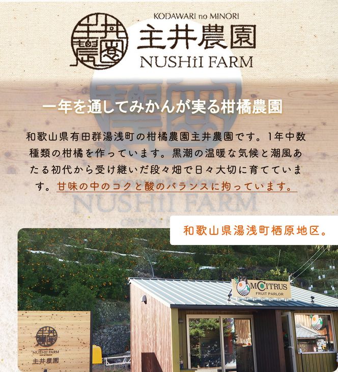 主井農園 高級 清見オレンジ 約2kg サイズ混合_ZS6156
