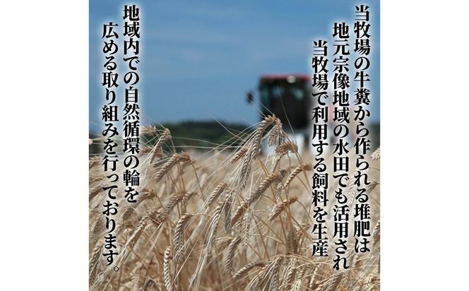 むなかた牛サーロインステーキ250g×2枚【道の駅むなかた】_HA2091 むなかた牛 サーロイン ステーキ 福岡県宗像市 宗像市 福岡 宗像